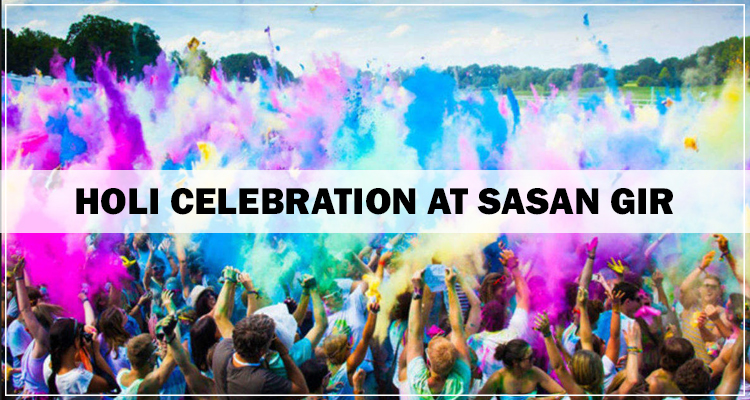 Holi Celebration at Sasan Gir