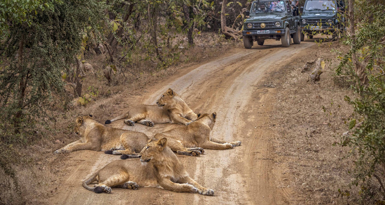 gujarat tourism