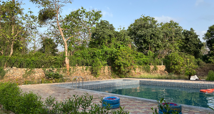 resort booking near Gir National Park
