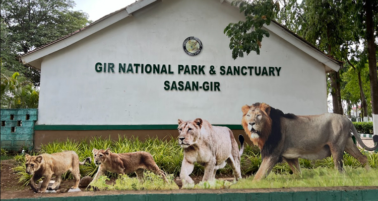 gir national park